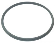 P&T MEDICAL AUTOCLAVE DOOR SEAL GRIJS