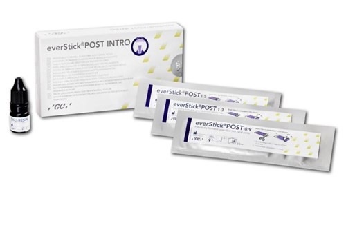 EVERSTICK GC POST INTRO-KIT 900827