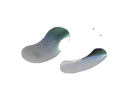 MATRIX DANVILLE CONTACT BAND BLAUW 8154DA