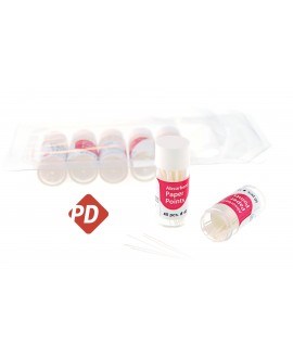 PAPER P PD-100 20ST