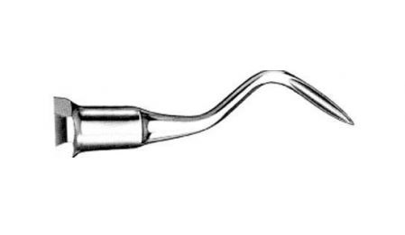 HEVEL MARTIN 567/4 APICAL
