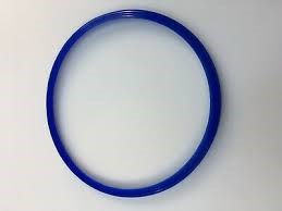 RITTER AUTOCLAVE DOOR SEAL BLAUW